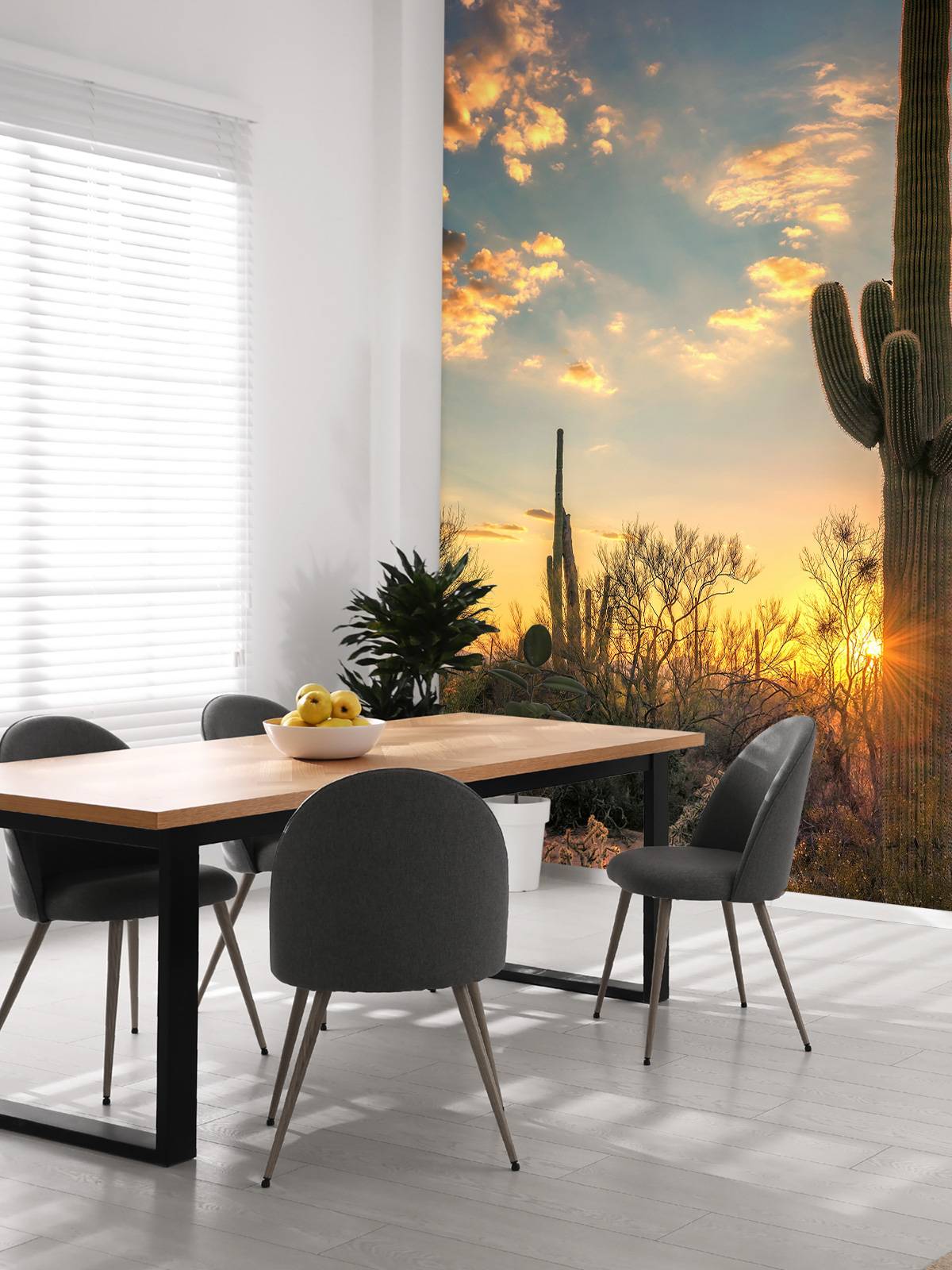 Cactus at sunset