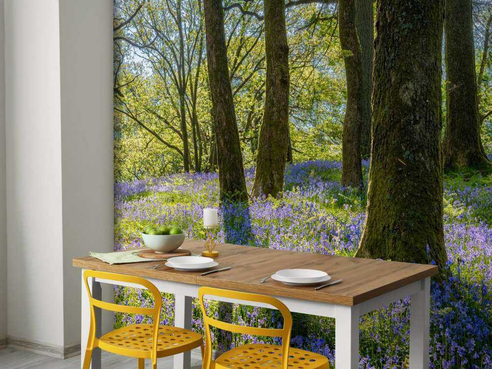 Spring panorama in a forest
