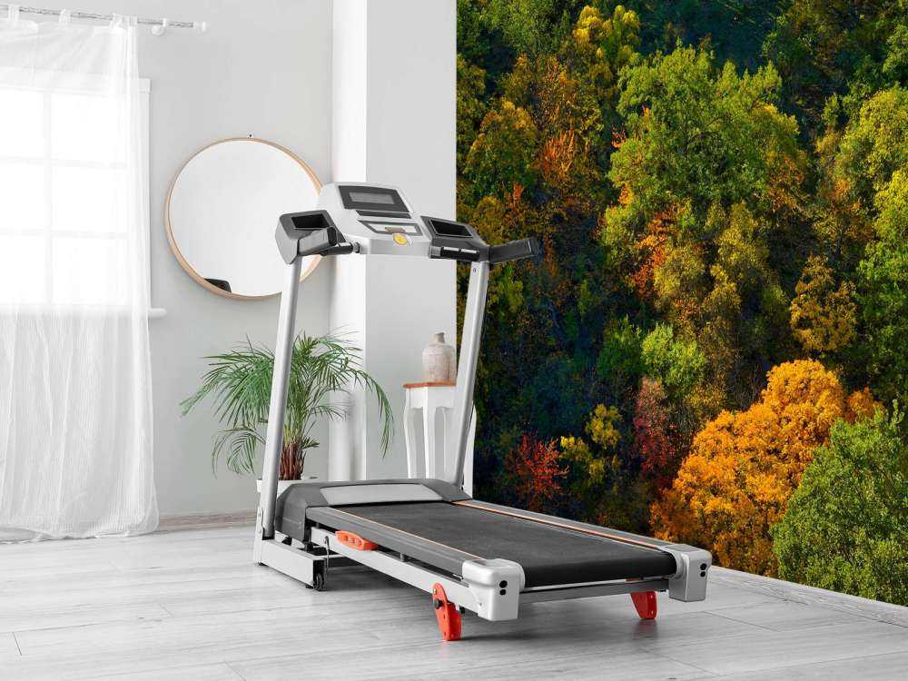 Bomen met herfstkleuren