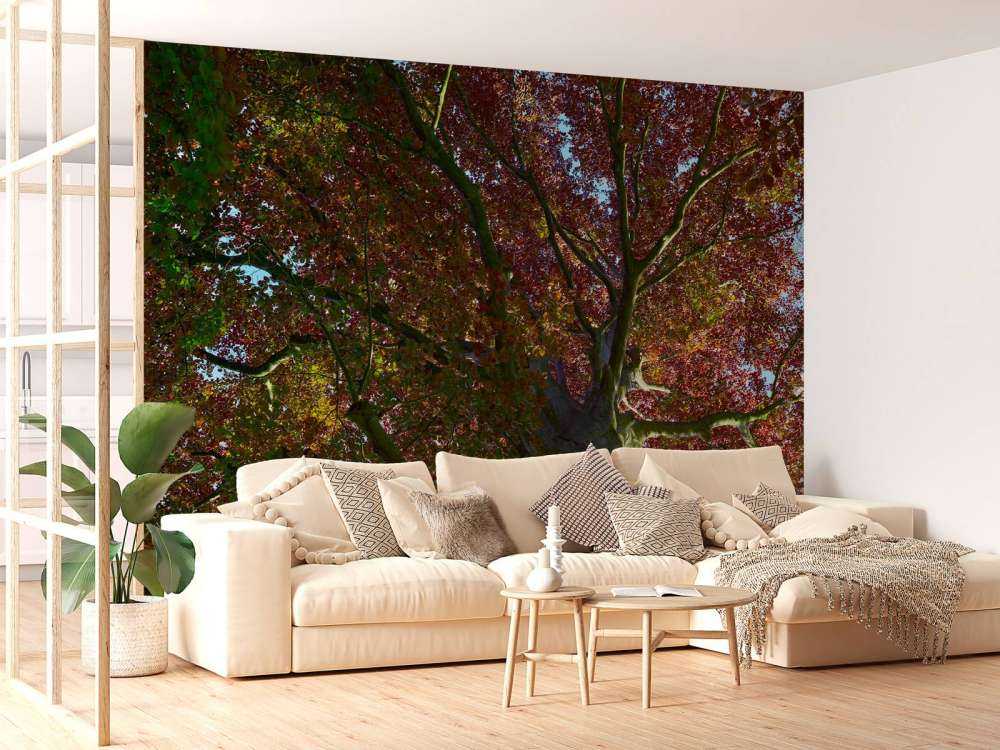 Boom met gekleurde bladeren