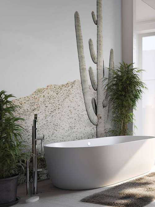 High cactus