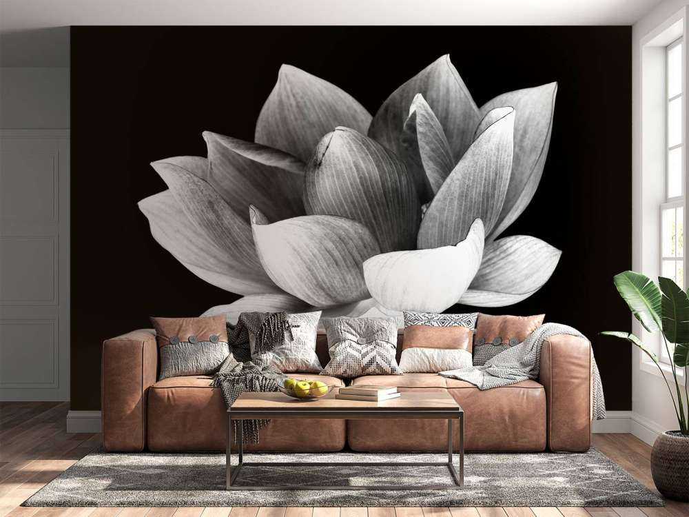 W02850