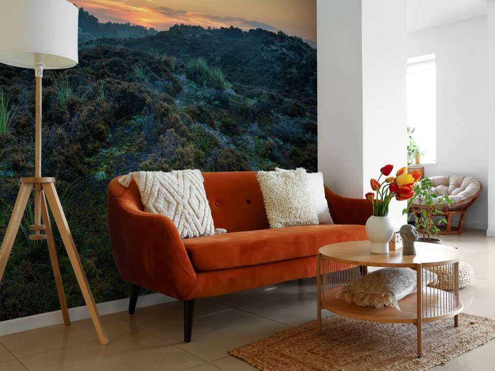 Heuvelachtig heidegebied