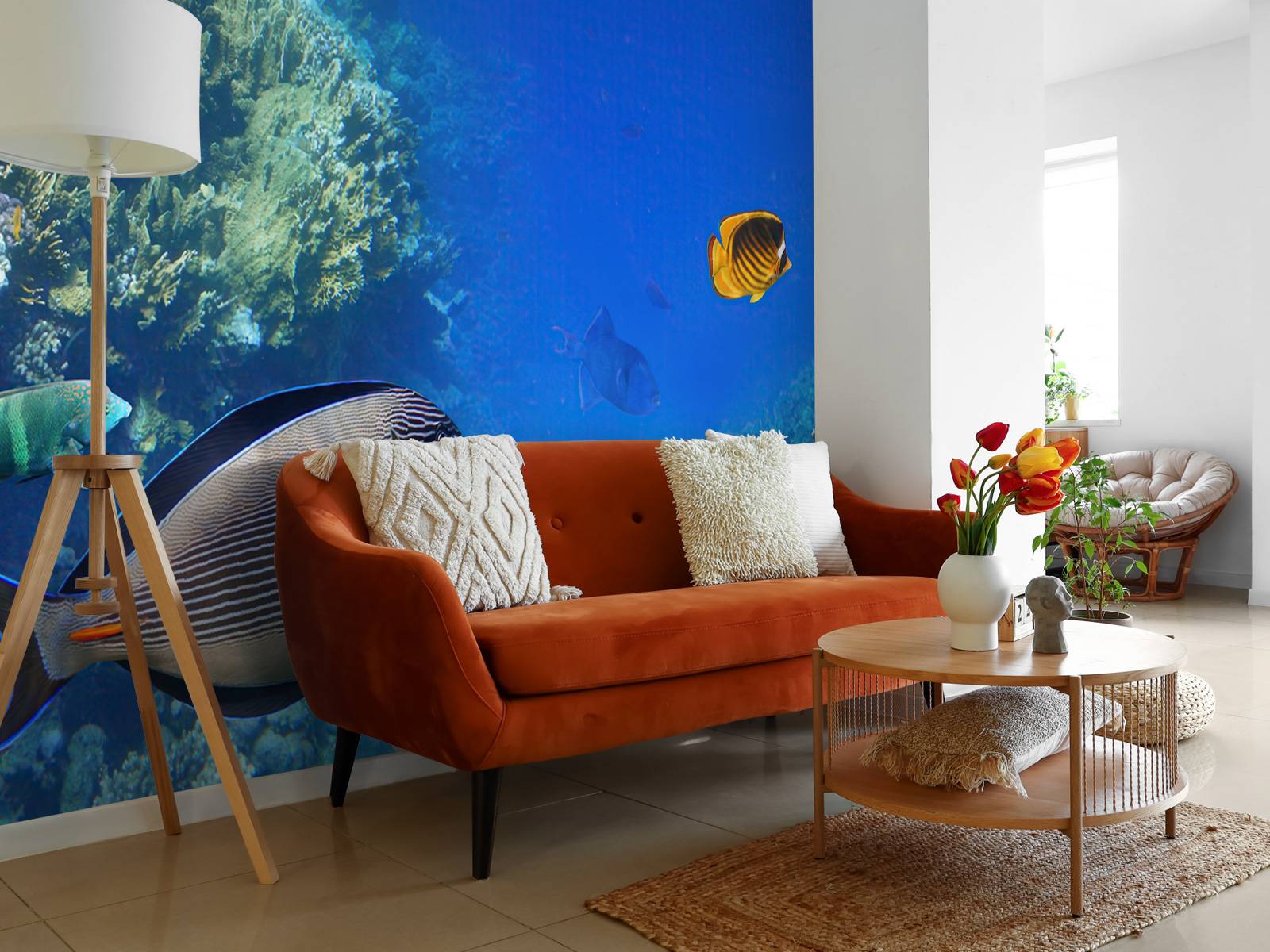 Coral reef