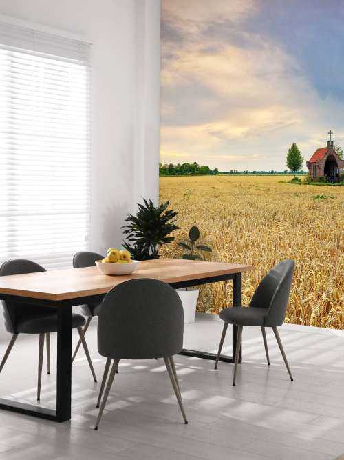 Grain field