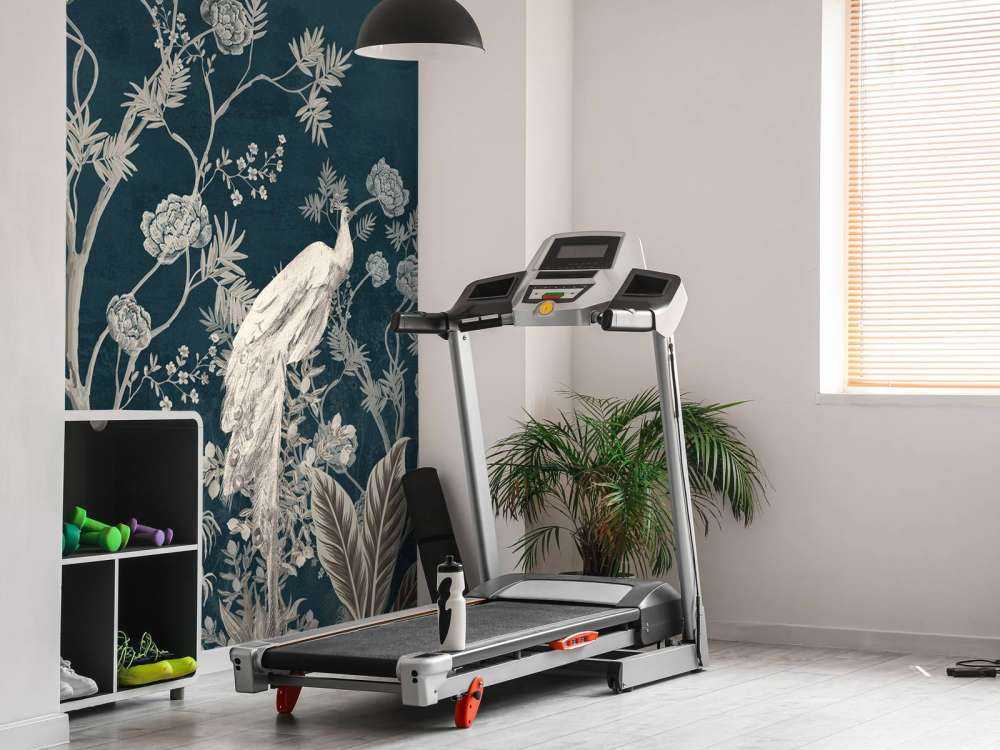 Peacock Splendor in the Night Garden