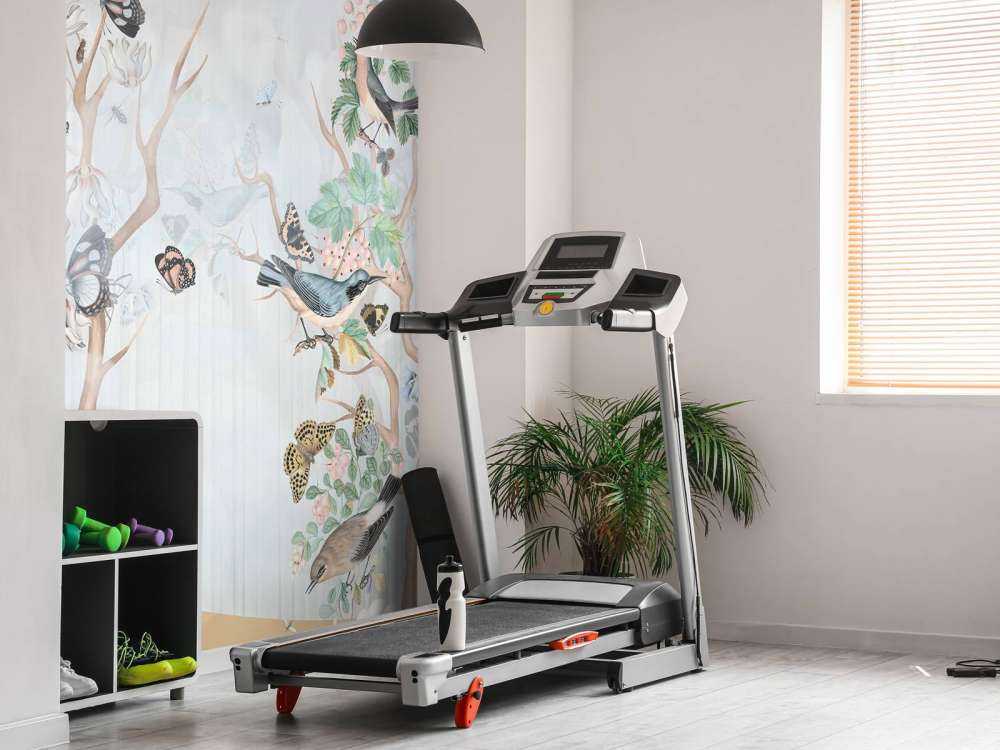 Birds and Butterflies Paradise