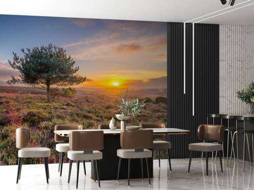 Sunset on the heath