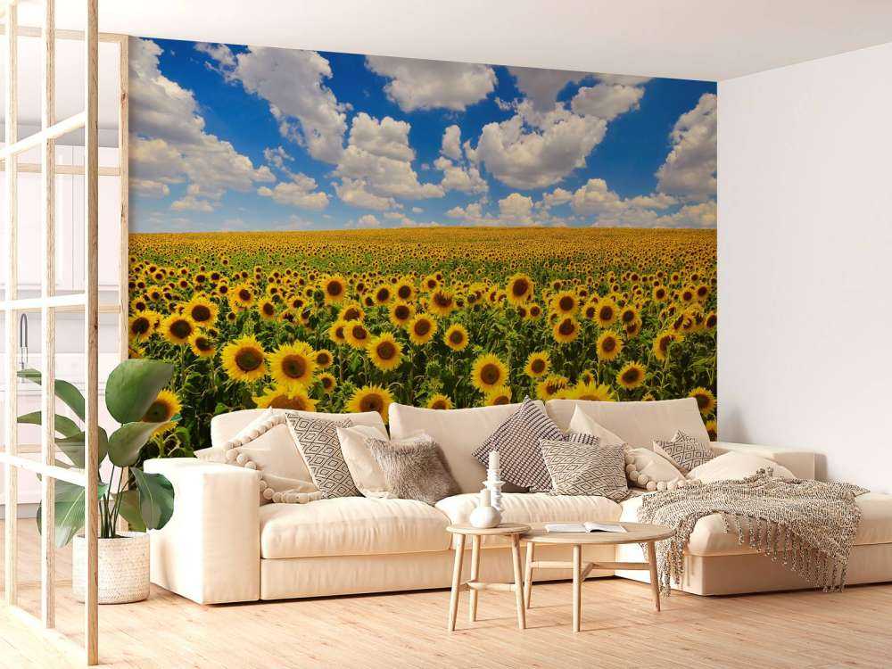 Zonnebloemveld onder een heldere lucht