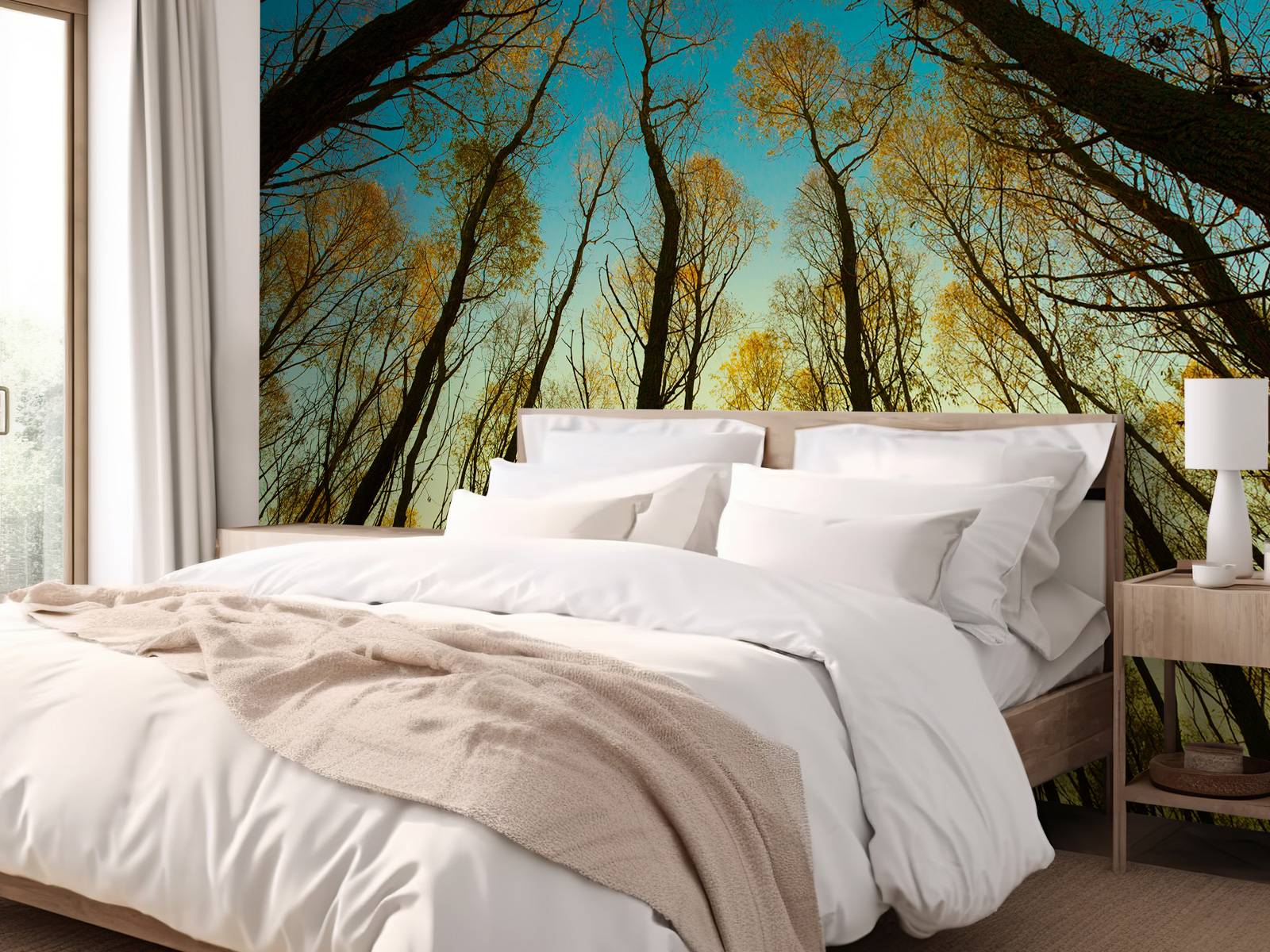 Sunrise between tall trees