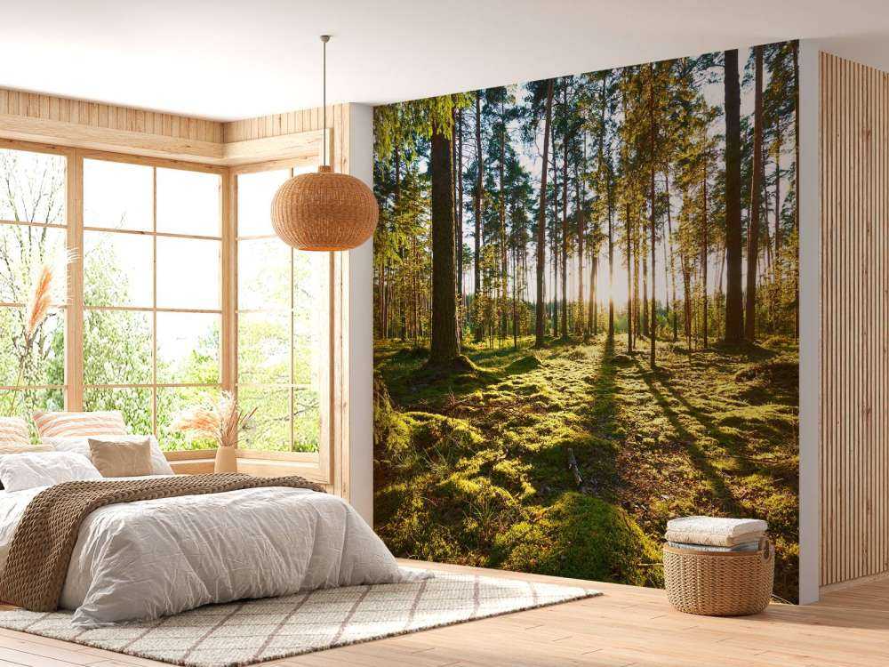 Pine forest