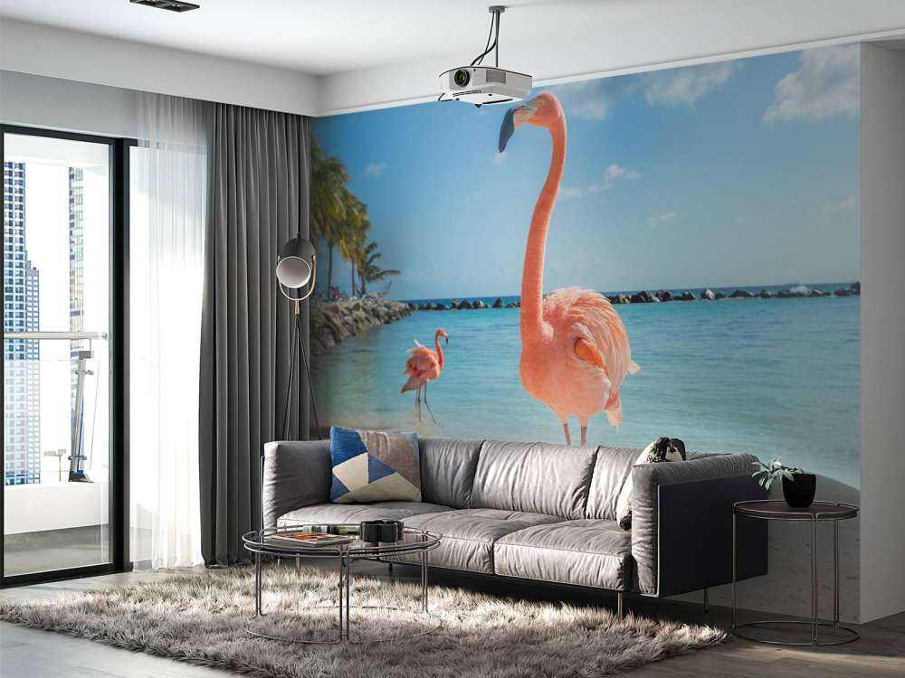 Flamingo on the beach