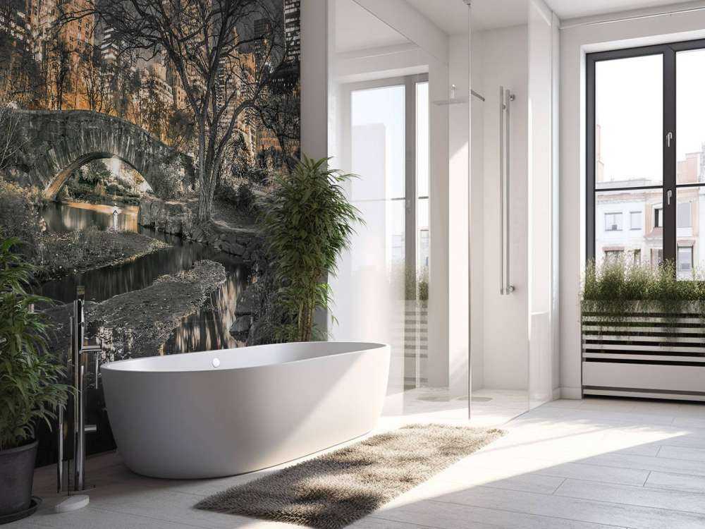 Central park in the evening