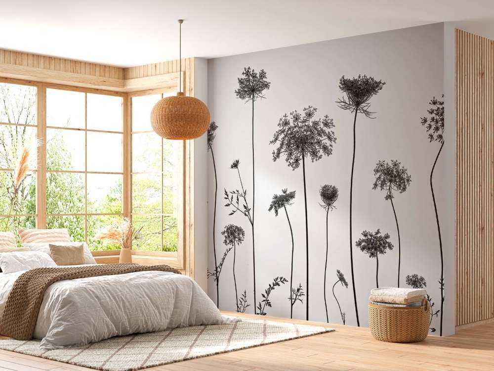 Cow parsley in black and white