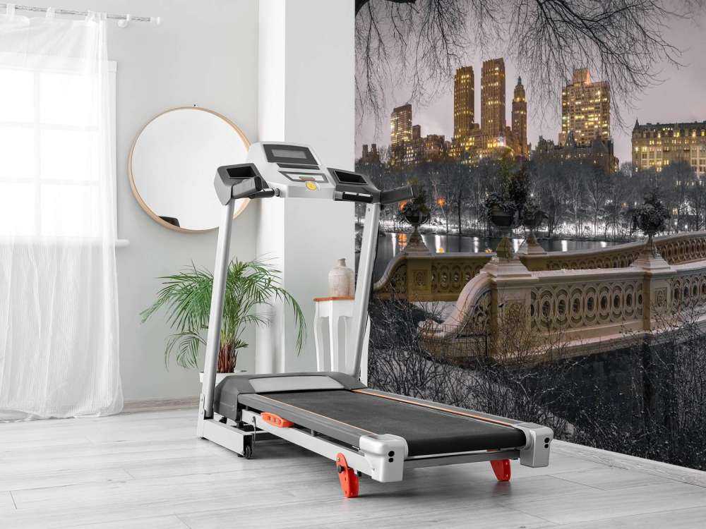 Central park and Manhattan