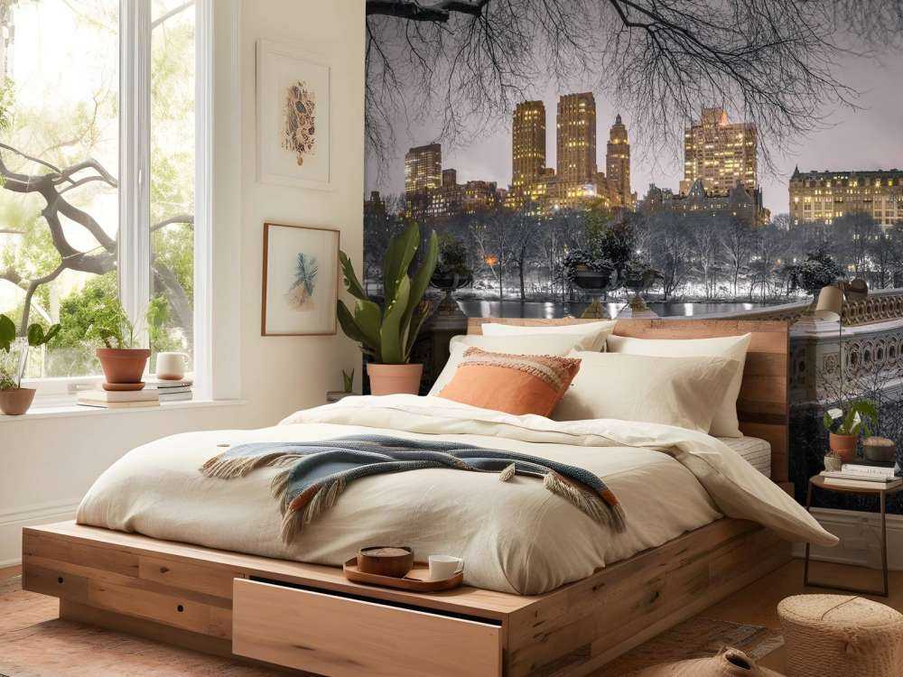 Central park and Manhattan