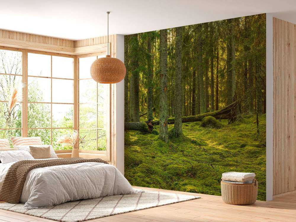 Green pine forest