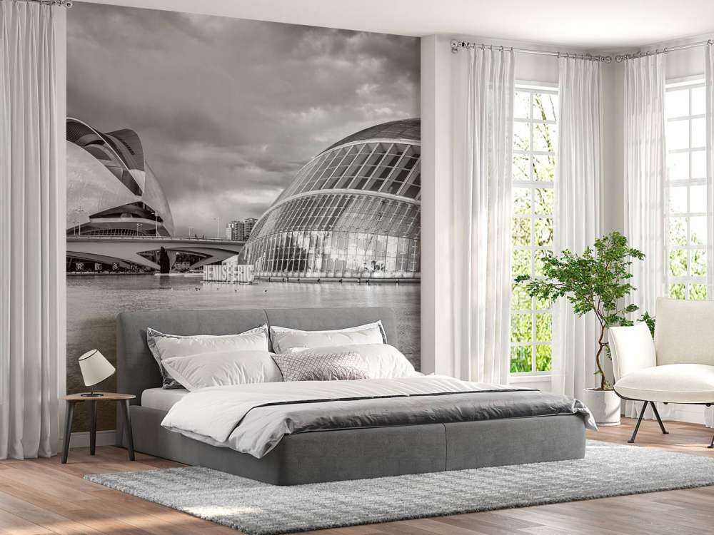 Opera House - Palau de les arts Reina Sofia & Hemisfèric - Valencia