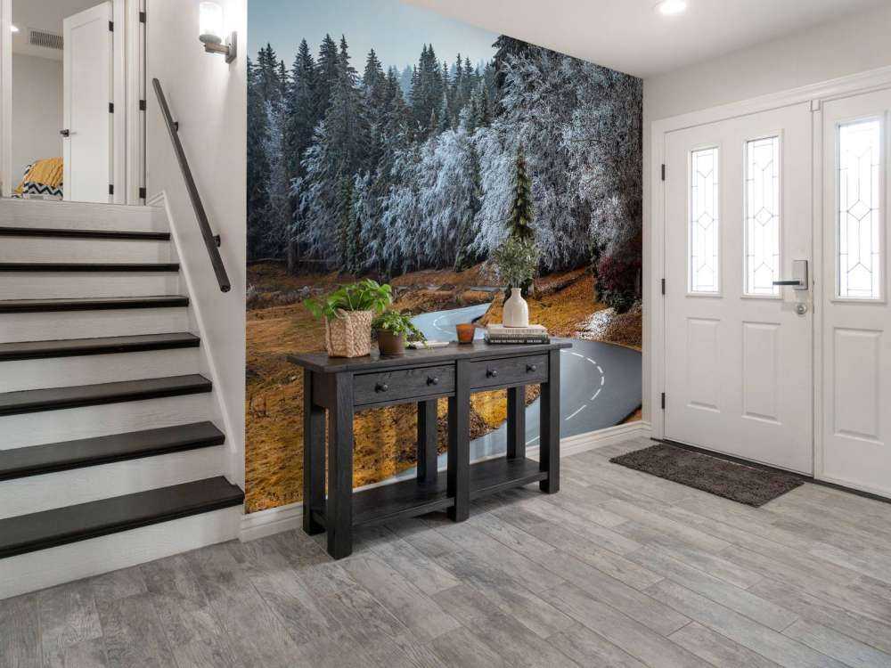 The road and the frozen trees