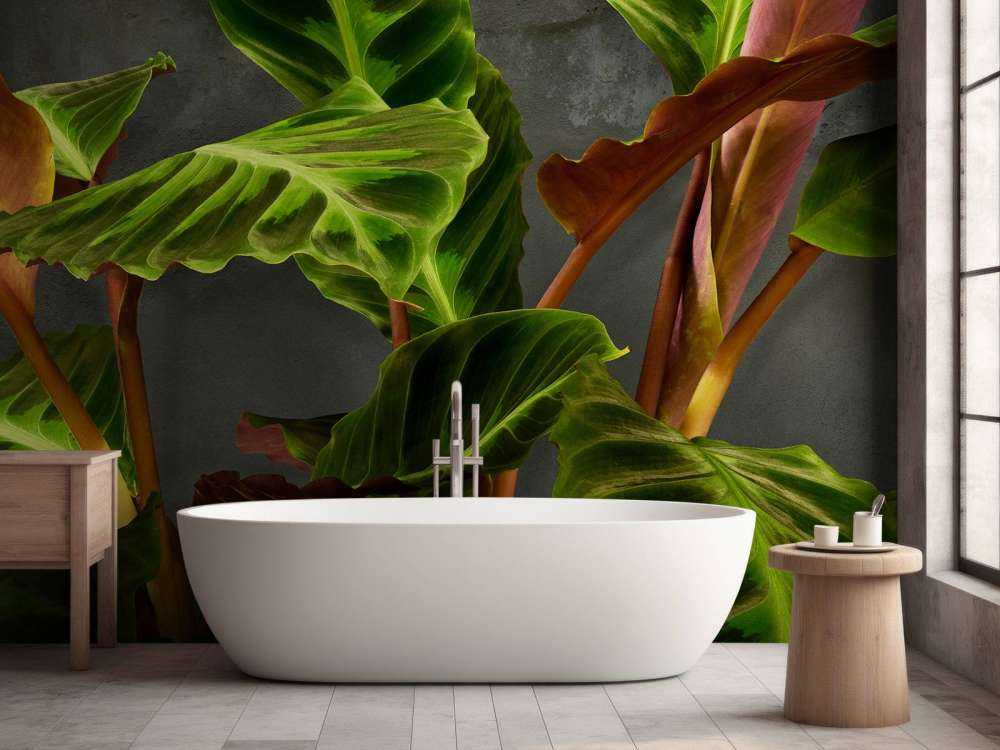 Plant with beautiful green leaves