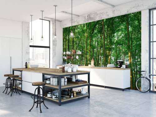 Green forest 