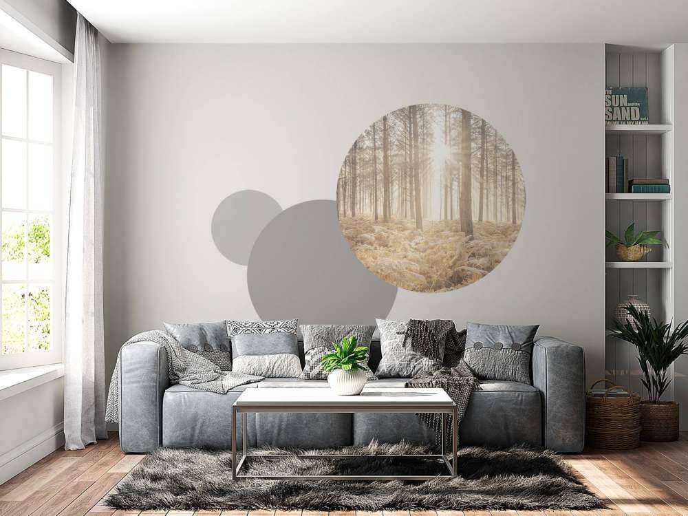 Sun rays in the cold forest