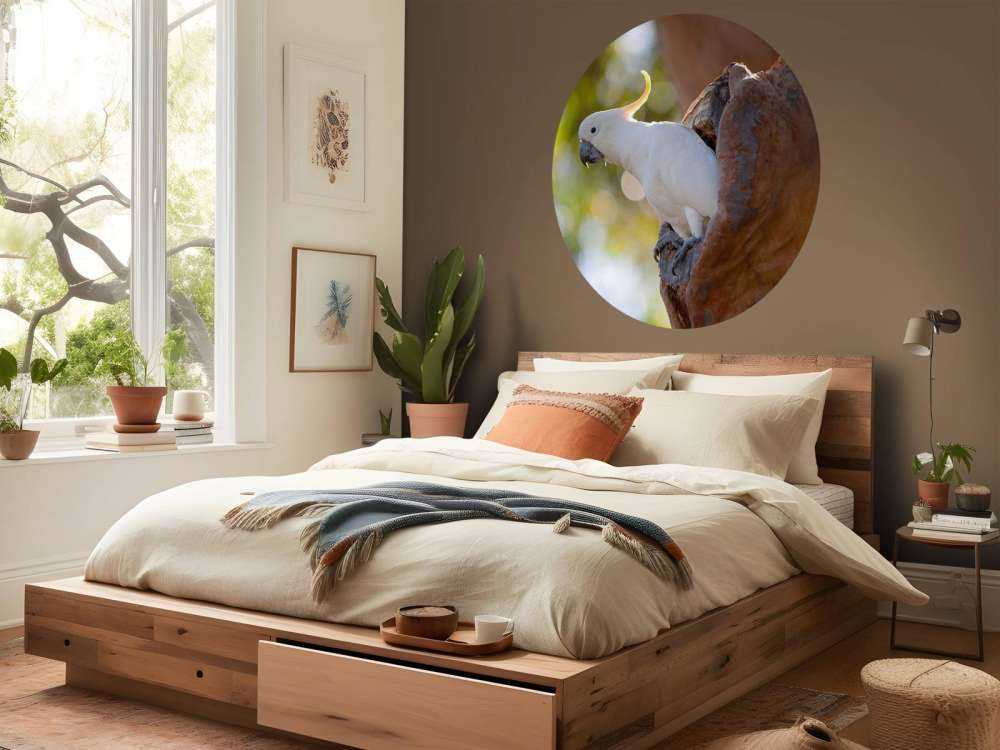 Cockatoo in tree cavity