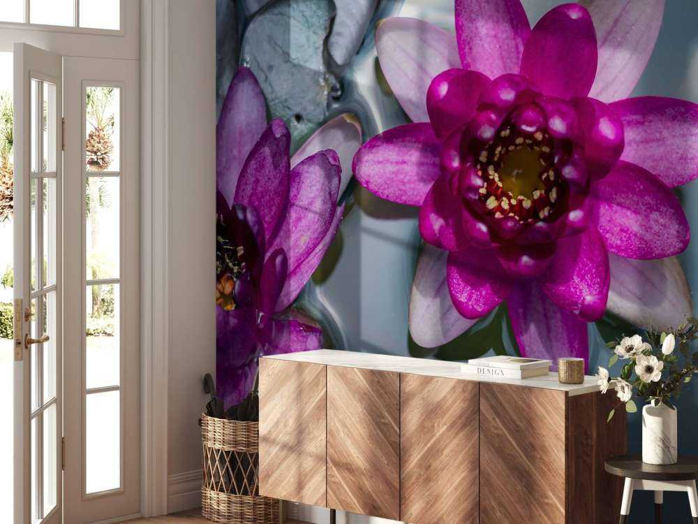 Pink lotus flower in the water