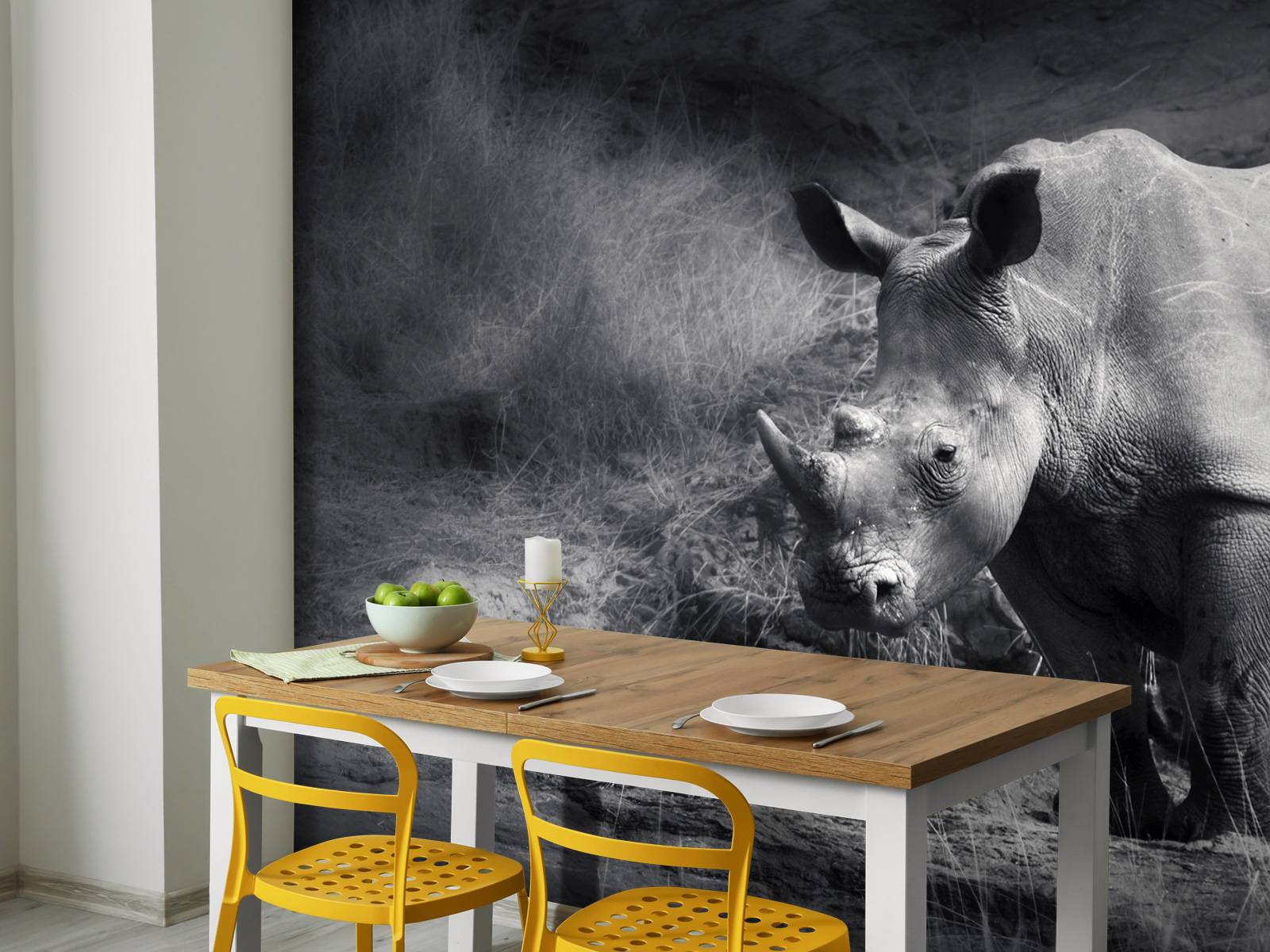 Rhinoceros