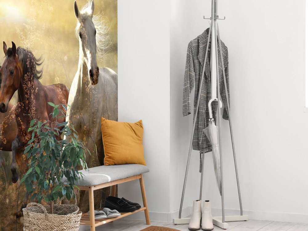 Galloping horses at sunset