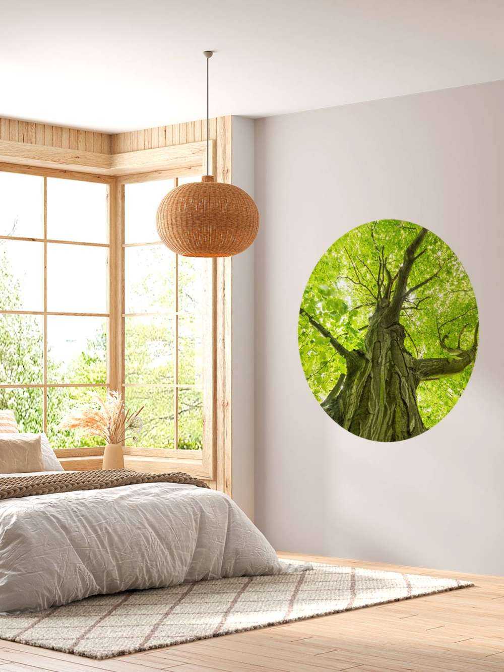 Large tree in the forest