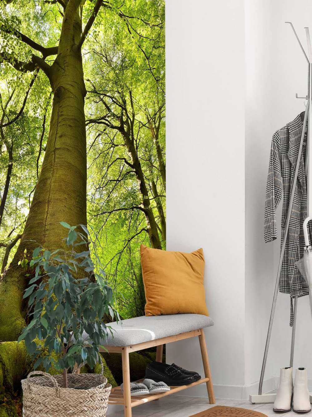 Large tree and roots