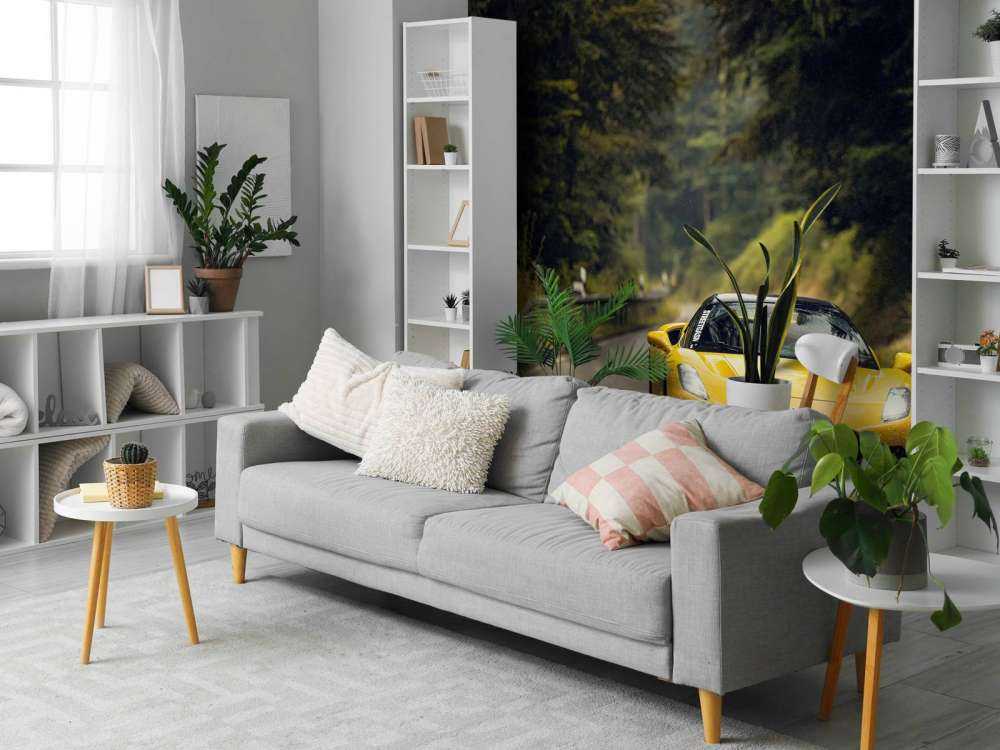 Maserati in the green forest