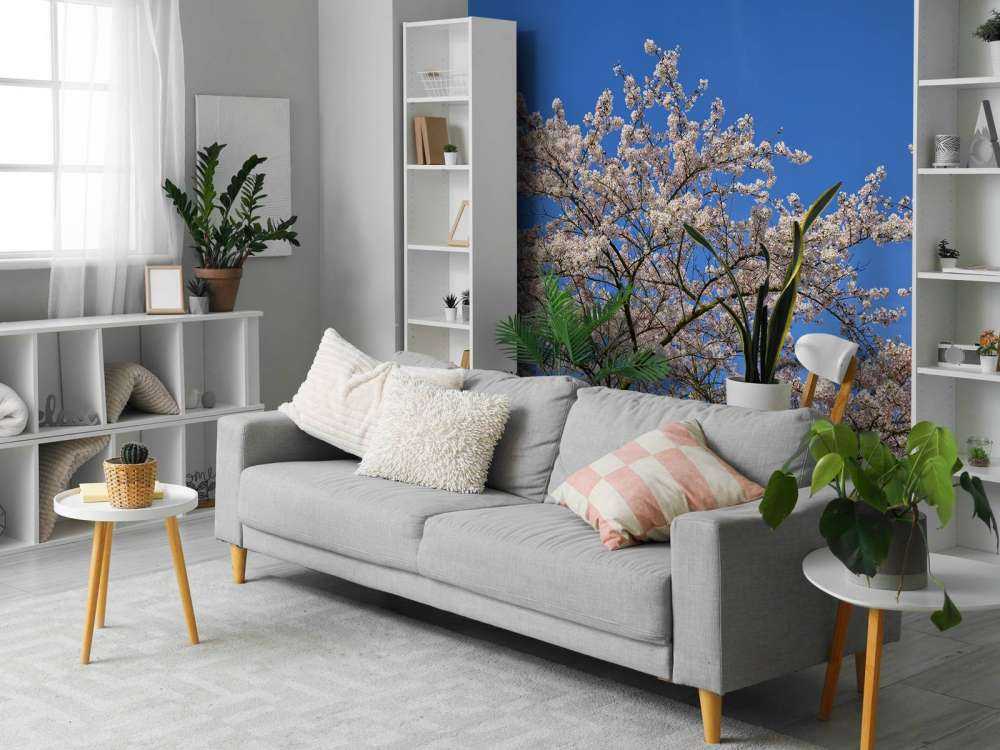 Blossom with blue sky