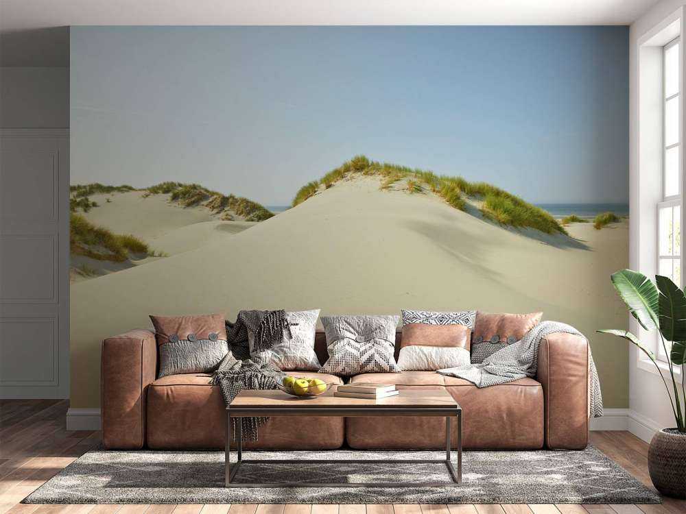 Dunes on the beach