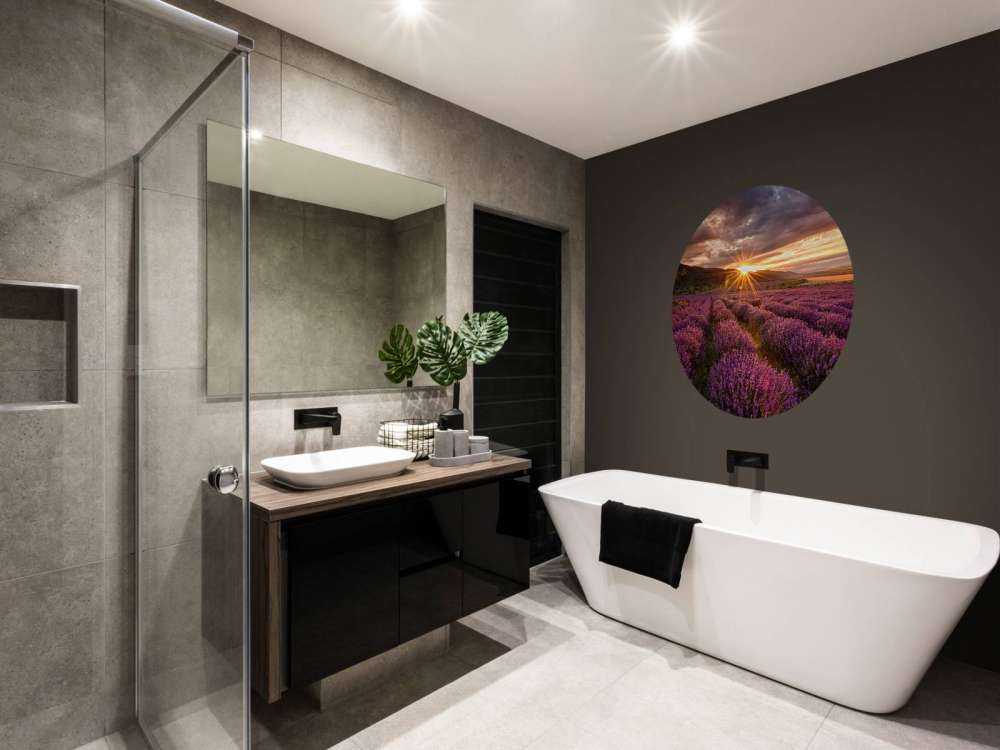 Lavender under the sun