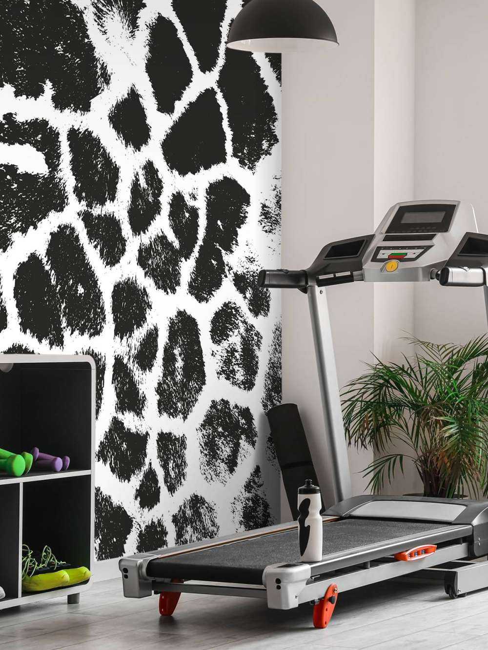 Leopard illustration