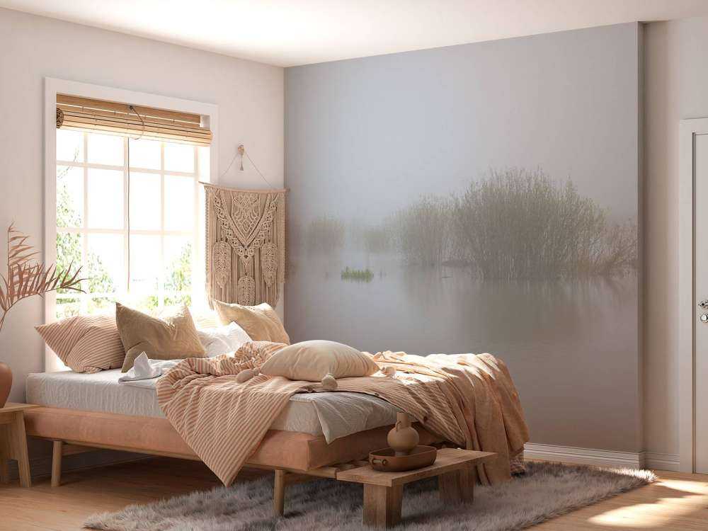 Fog in nature reserve