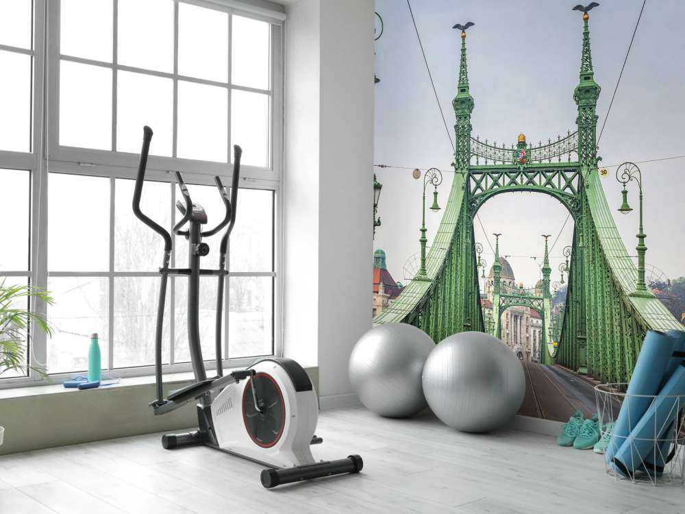 Tram line in Budapest