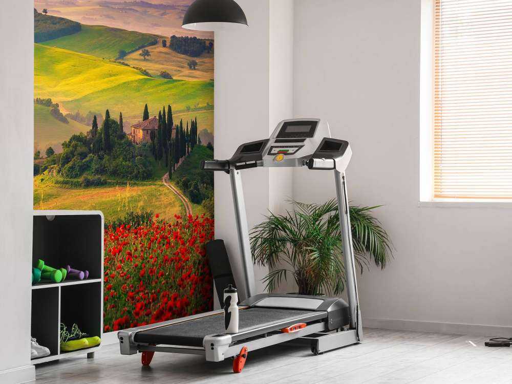 Red poppies with Italian landscape