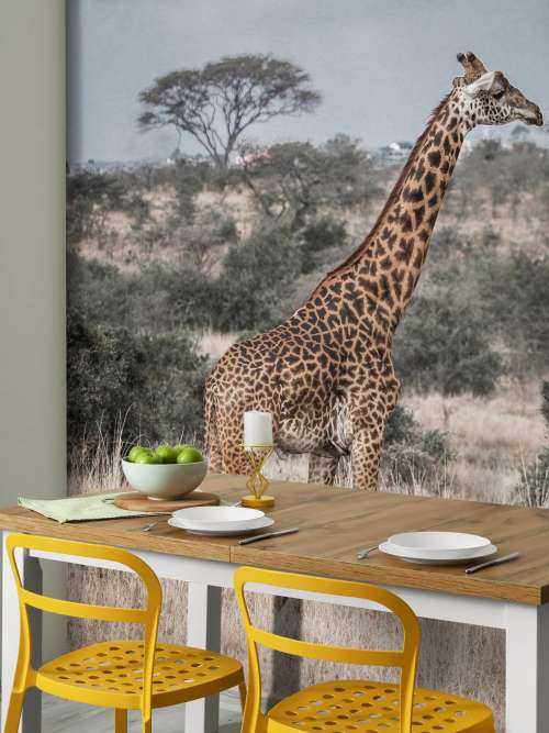 Giraffe Portrait