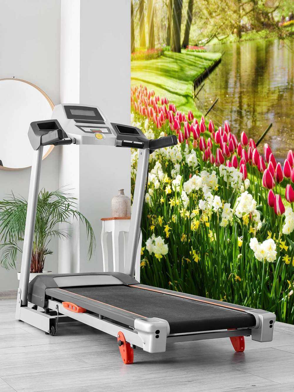 Flowers in a sunny park