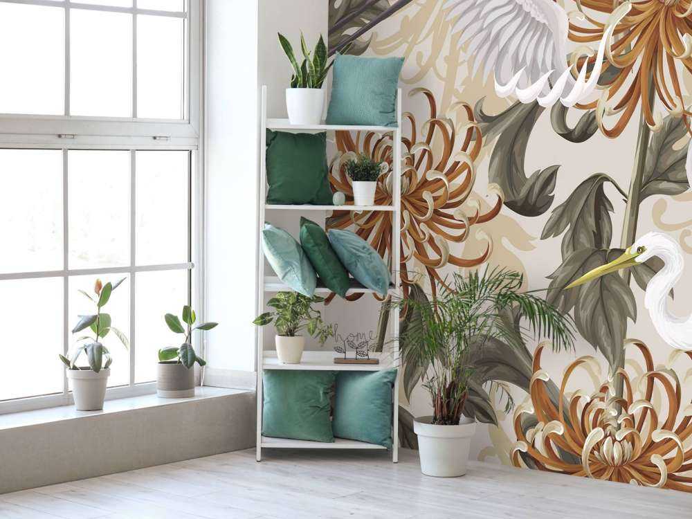 Swan Dance Chrysanthemum Glow