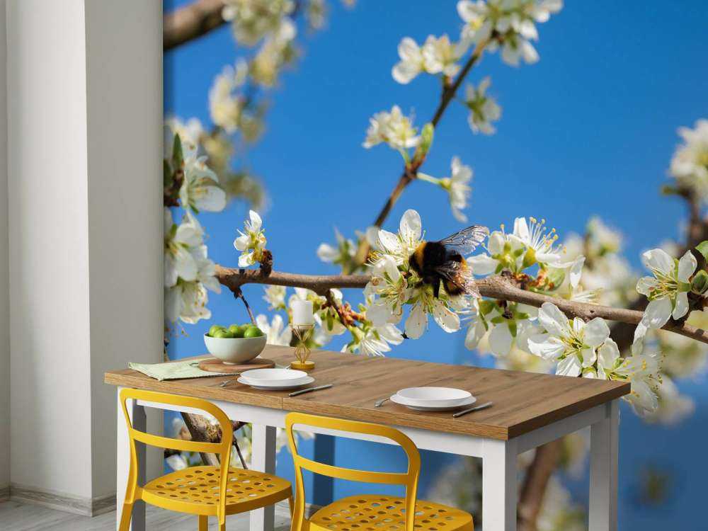 Bumblebee with white blossoms