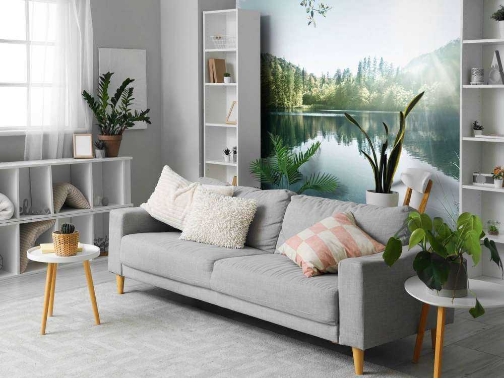 Lake in forest