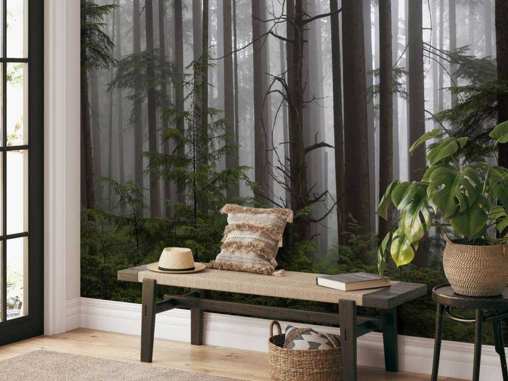 Forest during a foggy day