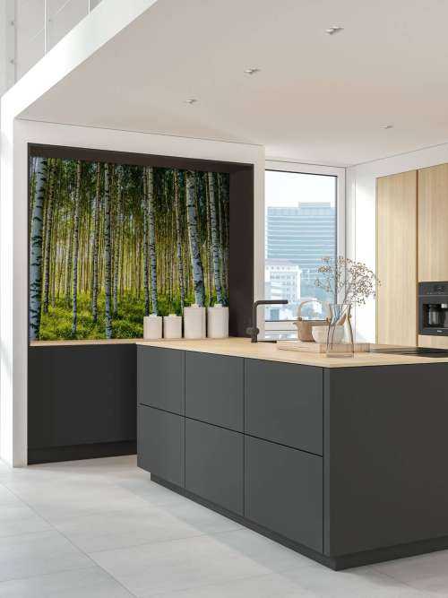 Summer birch forest