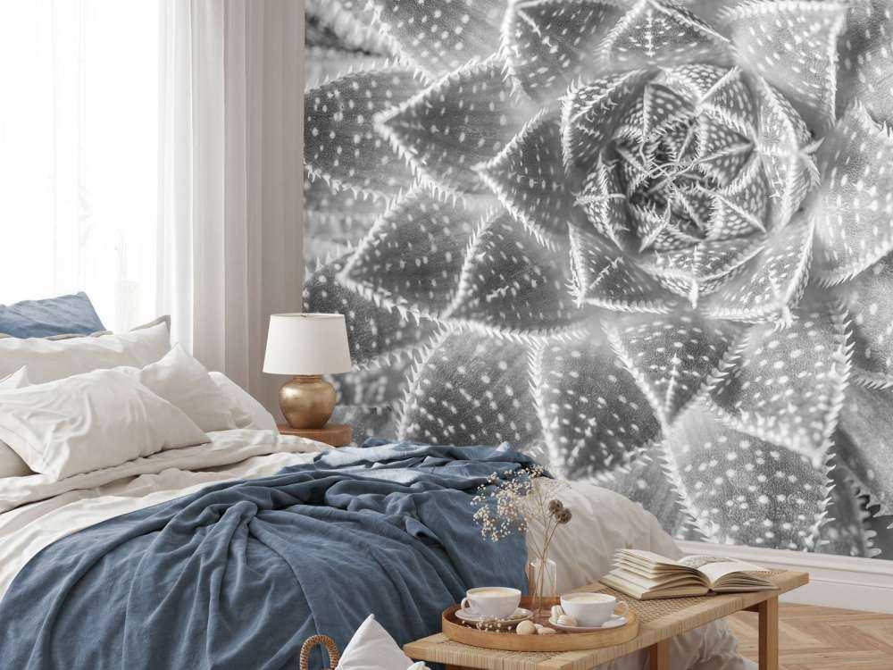 Succulent in black and white