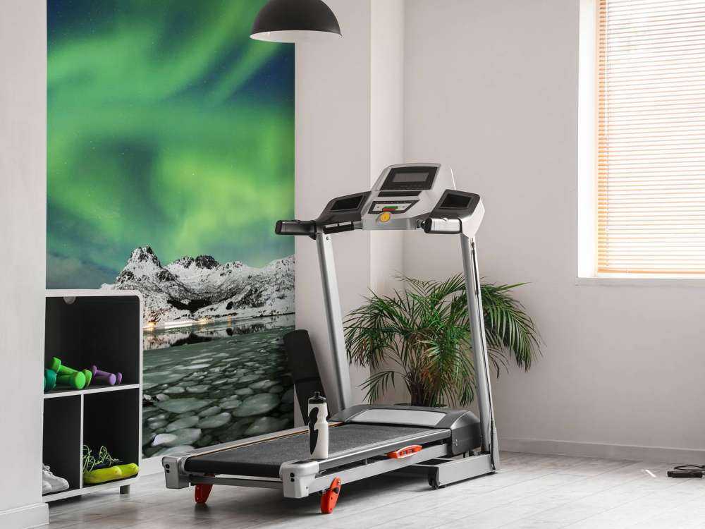 Northern lights above winter landscape