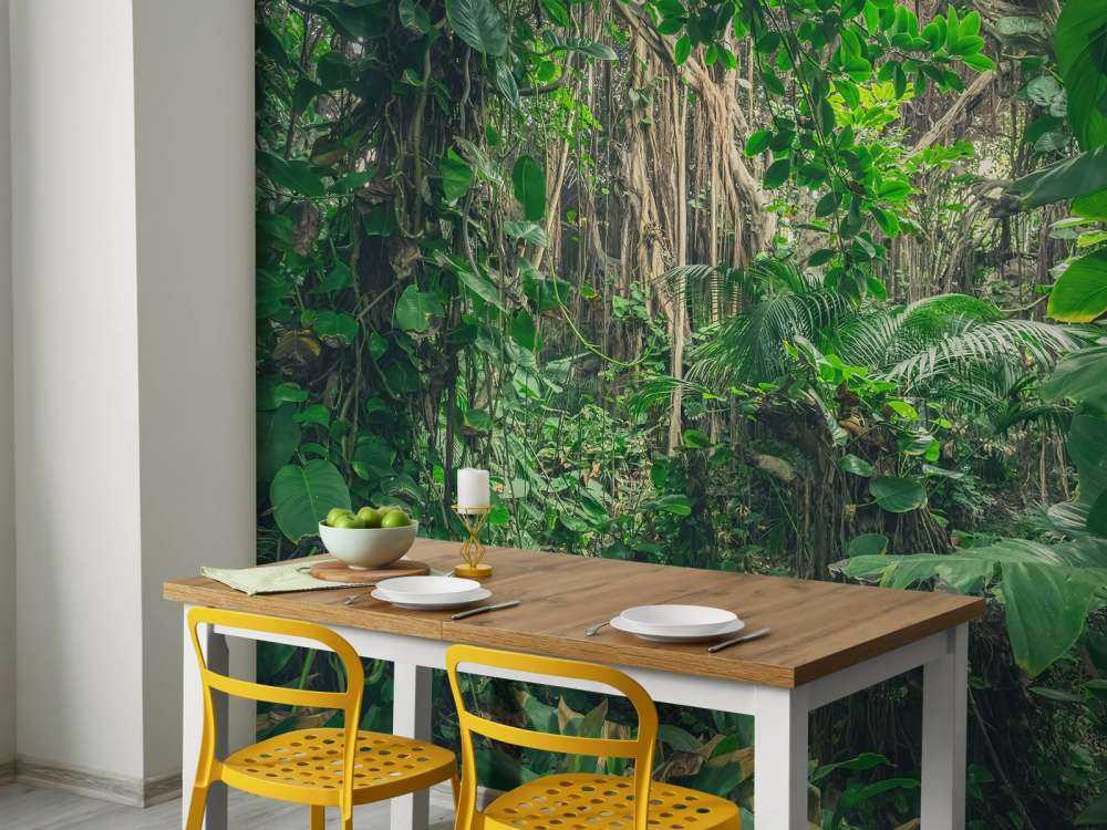 Branches in the rainforest